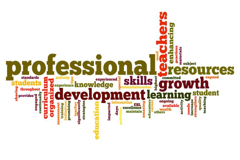 professional_development_for_teachers_investment_or_cost